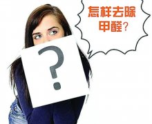 佛山辦公室除甲醛-肇慶高明順德權(quán)威除甲醛公司